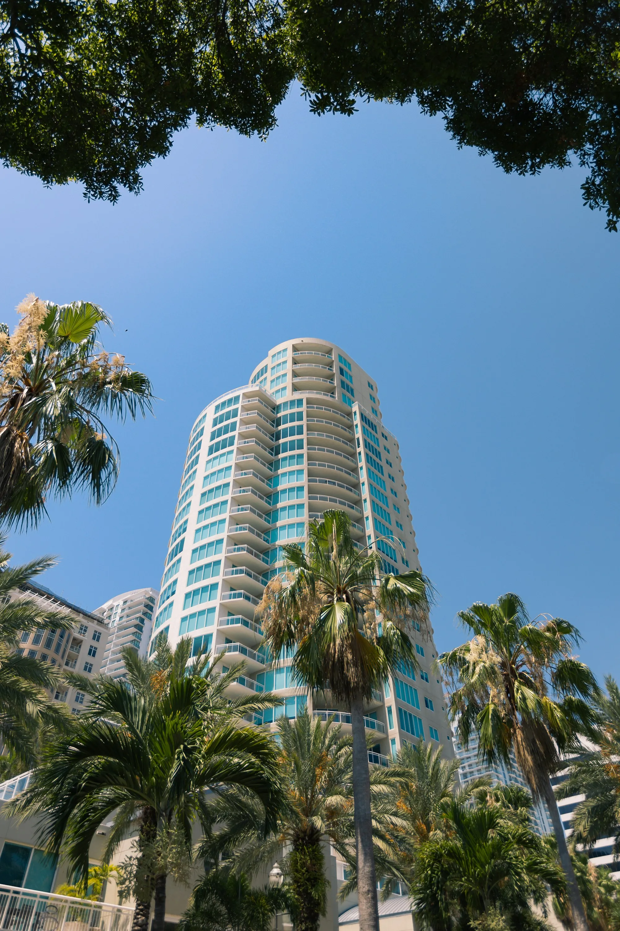 A tall residential building rising behind palm trees